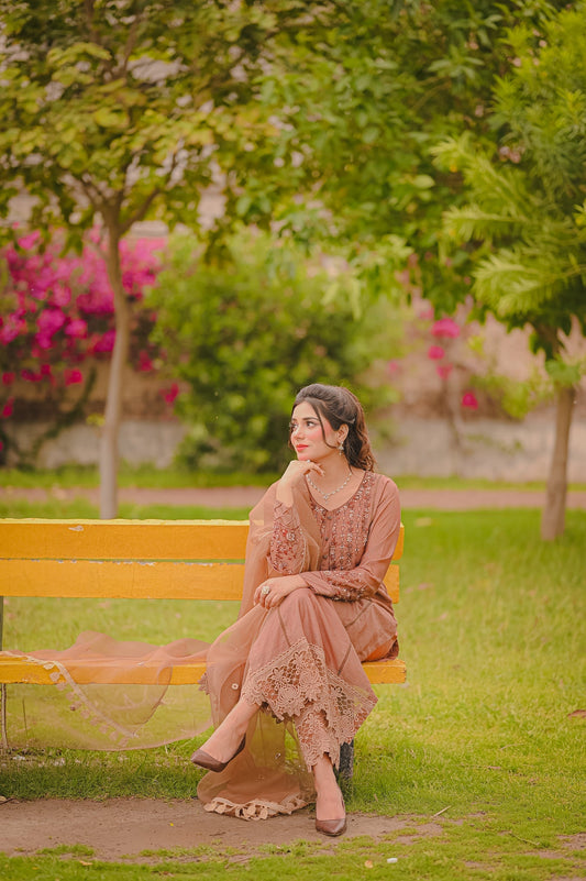 hand embroidered dress in brown color